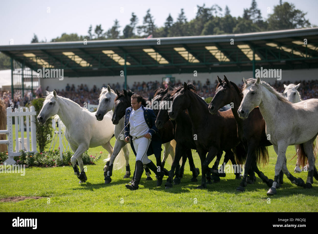 Harrogate, Großbritannien. 10. Juli 2018. Die Teilnehmer während des Großen Yorkshire Tag zeigen 2018 gesehen. Die großen YORKSHIRE zeigen Juli, 2018 Die Große Yorkshire Show ist eine legendäre dreitägige Veranstaltung und eine der größten landwirtschaftlichen Veranstaltungen in der englischen Kalender. Jedes Jahr werden mehr als 130.000 Besucher und über 8.500 Tiere laufen auf der großen Yorkshire Showground in Harrogate zu konkurrieren, Kontakte knüpfen und Feiern. Credit: Rahman Hassani/Alamy leben Nachrichten Stockfoto