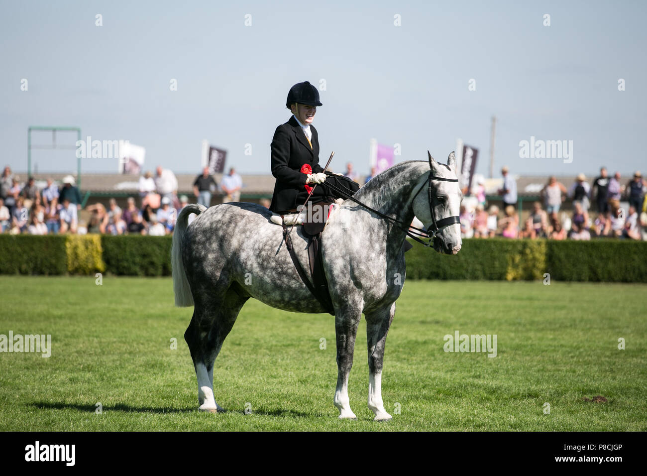 Harrogate, Großbritannien. 10. Juli 2018. Die Teilnehmer während des Großen Yorkshire Tag zeigen 2018 gesehen. Die großen YORKSHIRE zeigen Juli, 2018 Die Große Yorkshire Show ist eine legendäre dreitägige Veranstaltung und eine der größten landwirtschaftlichen Veranstaltungen in der englischen Kalender. Jedes Jahr werden mehr als 130.000 Besucher und über 8.500 Tiere laufen auf der großen Yorkshire Showground in Harrogate zu konkurrieren, Kontakte knüpfen und Feiern. Credit: Rahman Hassani/Alamy leben Nachrichten Stockfoto