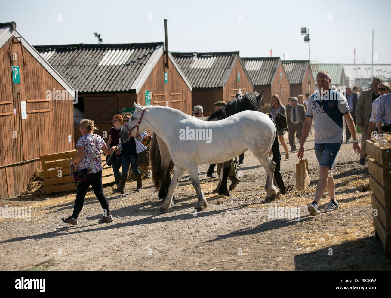Harrogate, Großbritannien. 10. Juli 2018. Die Teilnehmer während des Großen Yorkshire Tag zeigen 2018 gesehen. Die großen YORKSHIRE zeigen Juli, 2018 Die Große Yorkshire Show ist eine legendäre dreitägige Veranstaltung und eine der größten landwirtschaftlichen Veranstaltungen in der englischen Kalender. Jedes Jahr werden mehr als 130.000 Besucher und über 8.500 Tiere laufen auf der großen Yorkshire Showground in Harrogate zu konkurrieren, Kontakte knüpfen und Feiern. Credit: Rahman Hassani/Alamy leben Nachrichten Stockfoto