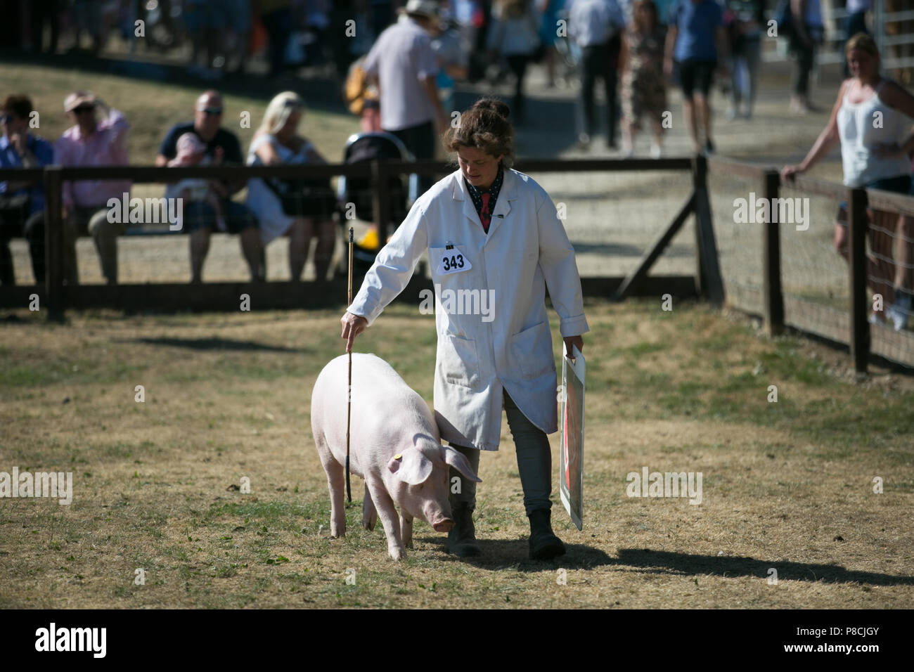 Harrogate, Großbritannien. 10. Juli 2018. Die Teilnehmer während des Großen Yorkshire Tag zeigen 2018 gesehen. Die großen YORKSHIRE zeigen Juli, 2018 Die Große Yorkshire Show ist eine legendäre dreitägige Veranstaltung und eine der größten landwirtschaftlichen Veranstaltungen in der englischen Kalender. Jedes Jahr werden mehr als 130.000 Besucher und über 8.500 Tiere laufen auf der großen Yorkshire Showground in Harrogate zu konkurrieren, Kontakte knüpfen und Feiern. Credit: Rahman Hassani/Alamy leben Nachrichten Stockfoto