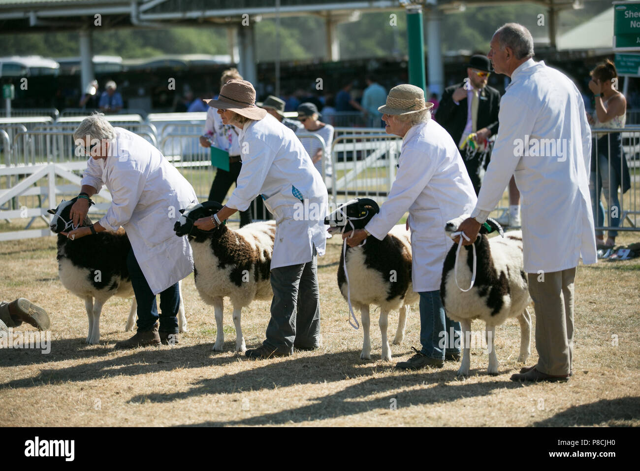 Harrogate, Großbritannien. 10. Juli 2018. Die Teilnehmer während des Großen Yorkshire Tag zeigen 2018 gesehen. Die großen YORKSHIRE zeigen Juli, 2018 Die Große Yorkshire Show ist eine legendäre dreitägige Veranstaltung und eine der größten landwirtschaftlichen Veranstaltungen in der englischen Kalender. Jedes Jahr werden mehr als 130.000 Besucher und über 8.500 Tiere laufen auf der großen Yorkshire Showground in Harrogate zu konkurrieren, Kontakte knüpfen und Feiern. Credit: Rahman Hassani/Alamy leben Nachrichten Stockfoto