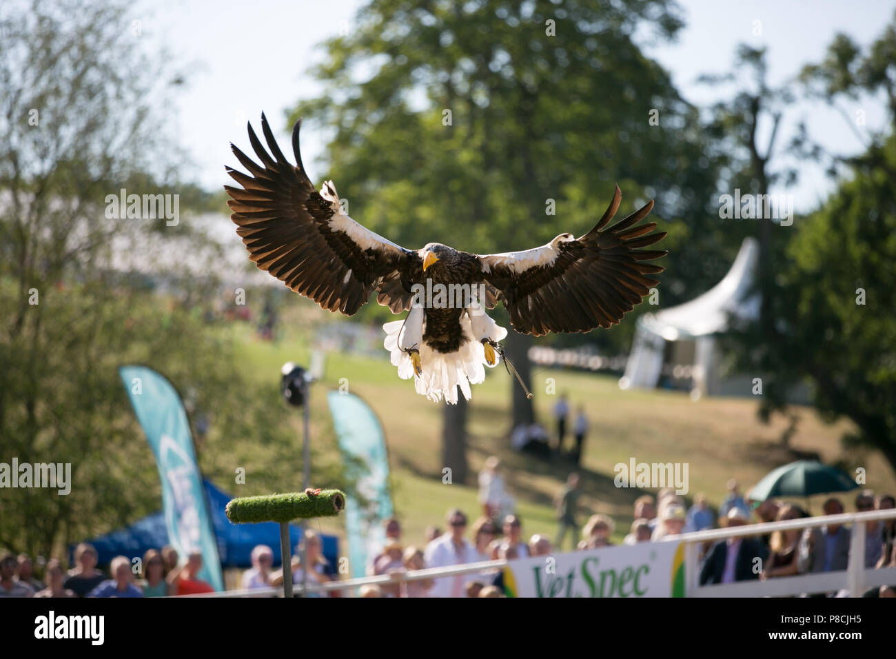 Harrogate, Großbritannien. 10. Juli 2018. Die Teilnehmer während des Großen Yorkshire Tag zeigen 2018 gesehen. Die großen YORKSHIRE zeigen Juli, 2018 Die Große Yorkshire Show ist eine legendäre dreitägige Veranstaltung und eine der größten landwirtschaftlichen Veranstaltungen in der englischen Kalender. Jedes Jahr werden mehr als 130.000 Besucher und über 8.500 Tiere laufen auf der großen Yorkshire Showground in Harrogate zu konkurrieren, Kontakte knüpfen und Feiern. Credit: Rahman Hassani/Alamy leben Nachrichten Stockfoto