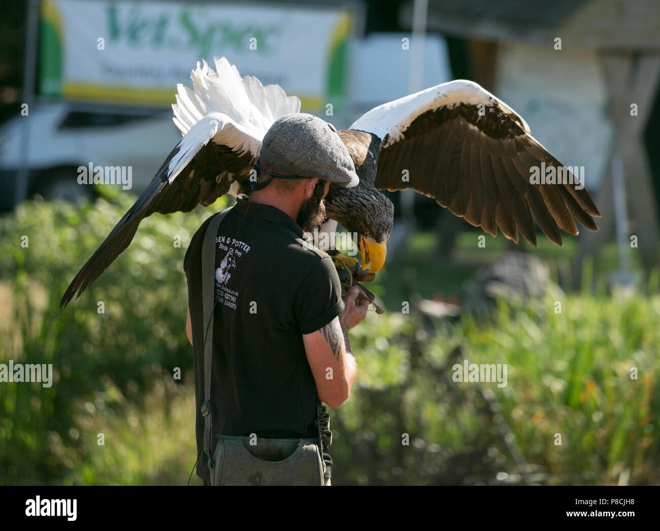 Harrogate, Großbritannien. 10. Juli 2018. Die Teilnehmer während des Großen Yorkshire Tag zeigen 2018 gesehen. Die großen YORKSHIRE zeigen Juli, 2018 Die Große Yorkshire Show ist eine legendäre dreitägige Veranstaltung und eine der größten landwirtschaftlichen Veranstaltungen in der englischen Kalender. Jedes Jahr werden mehr als 130.000 Besucher und über 8.500 Tiere laufen auf der großen Yorkshire Showground in Harrogate zu konkurrieren, Kontakte knüpfen und Feiern. Credit: Rahman Hassani/Alamy leben Nachrichten Stockfoto
