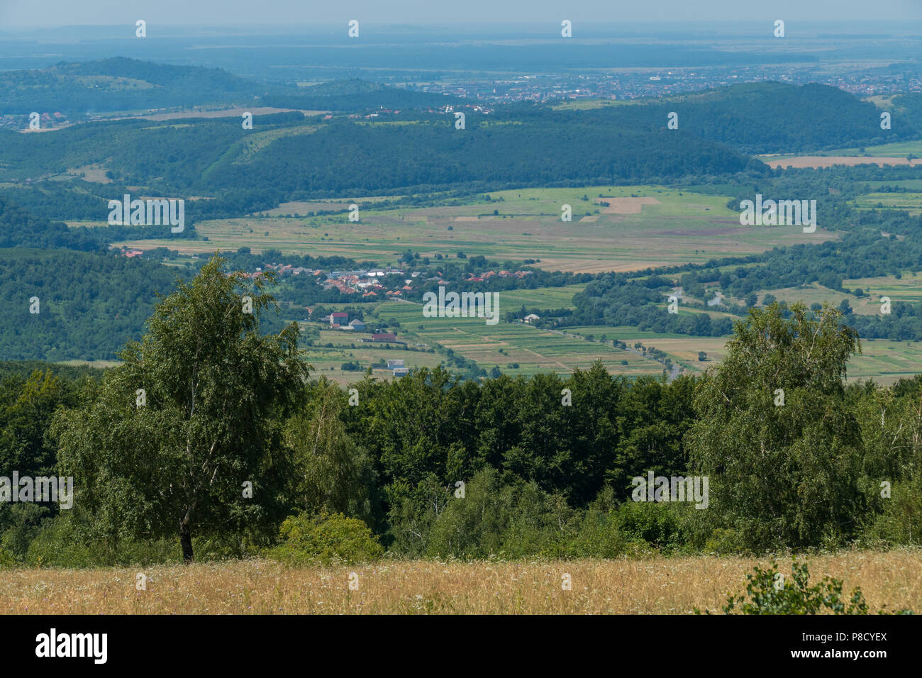 Ein Panorama der grünen Hügel und Täler mit großen Öffnungen auf Ihnen. Für ihr Design Stockfoto