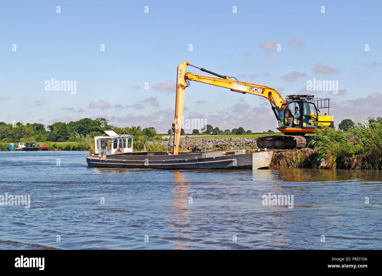Ein JCB Entladen von Baggergut auf die Ufer des Flusses Bure auf der Norfolk Broads in Horning, Norfolk, England, Vereinigtes Königreich, Europa. Stockfoto