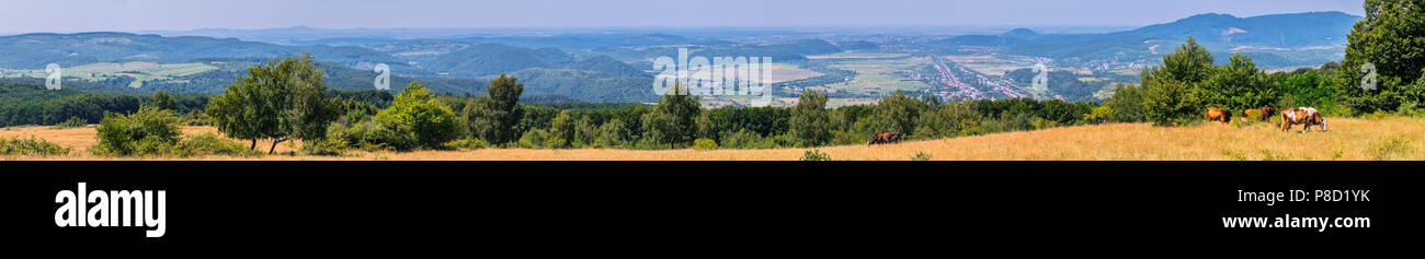 Panoramablick auf drei hundert und sechzig Grad. Berge, Feld, Bäume. Für ihr Design Stockfoto