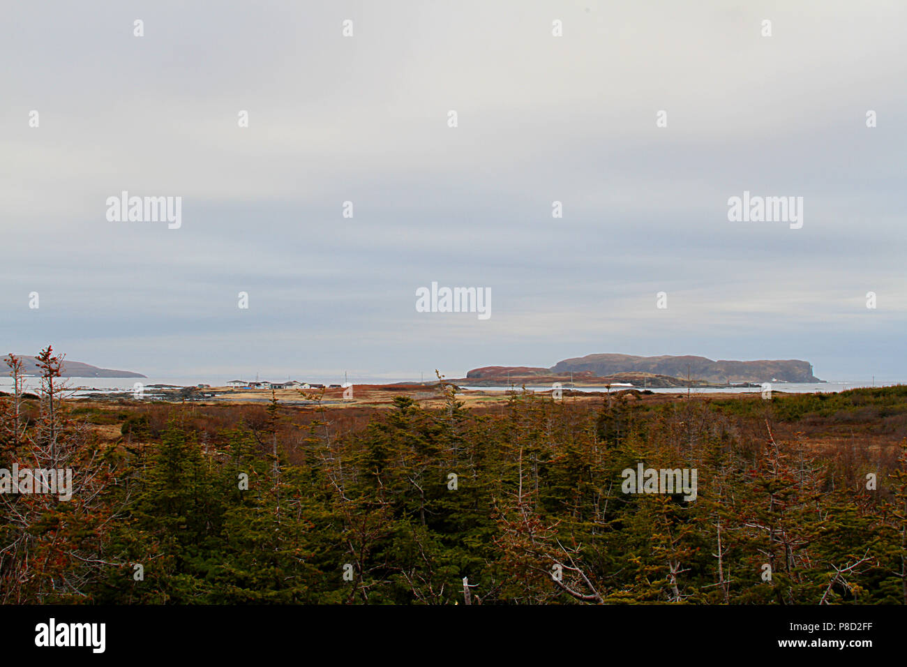 Reisebericht - Neufundland, Kanada, Landschaften und malerische, kanadische Provinz, "die Rock' Stockfoto