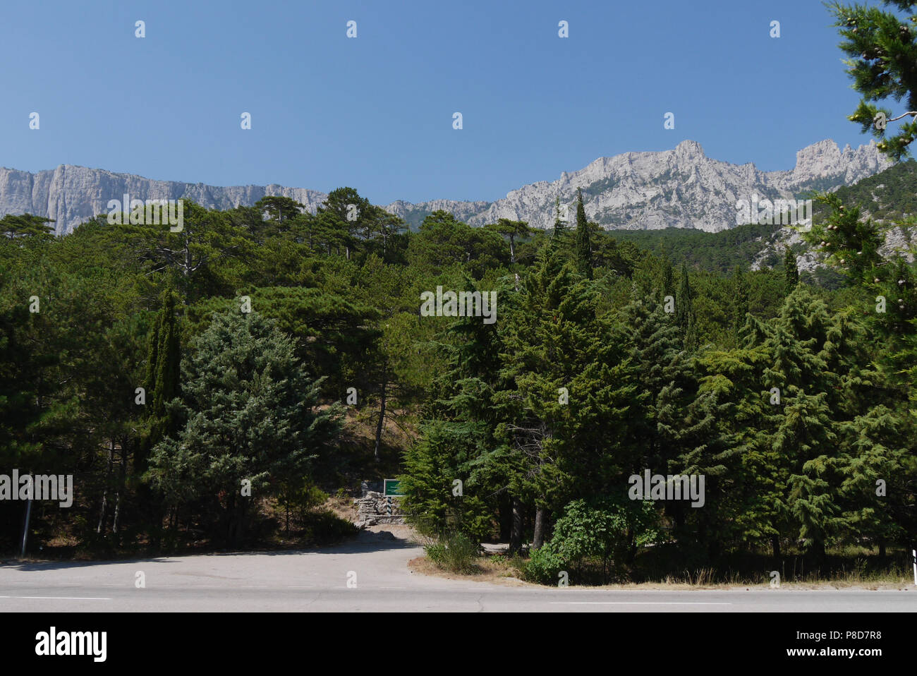 Dicke grüne Bäume unter einem blauen Himmel im Hintergrund der Hohe, steile Berge. Für ihr Design Stockfoto