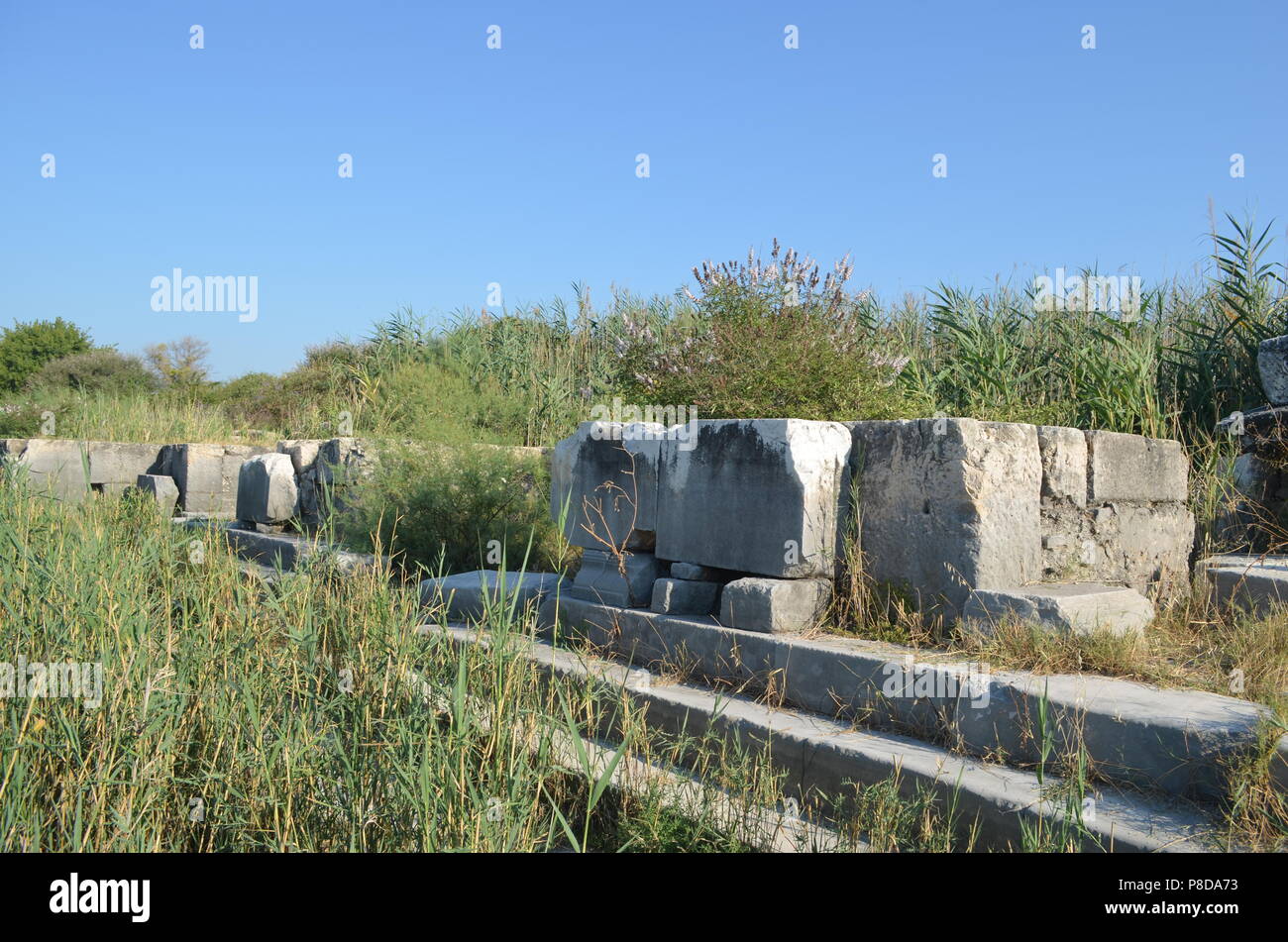 Markttor von Milet Stockfoto