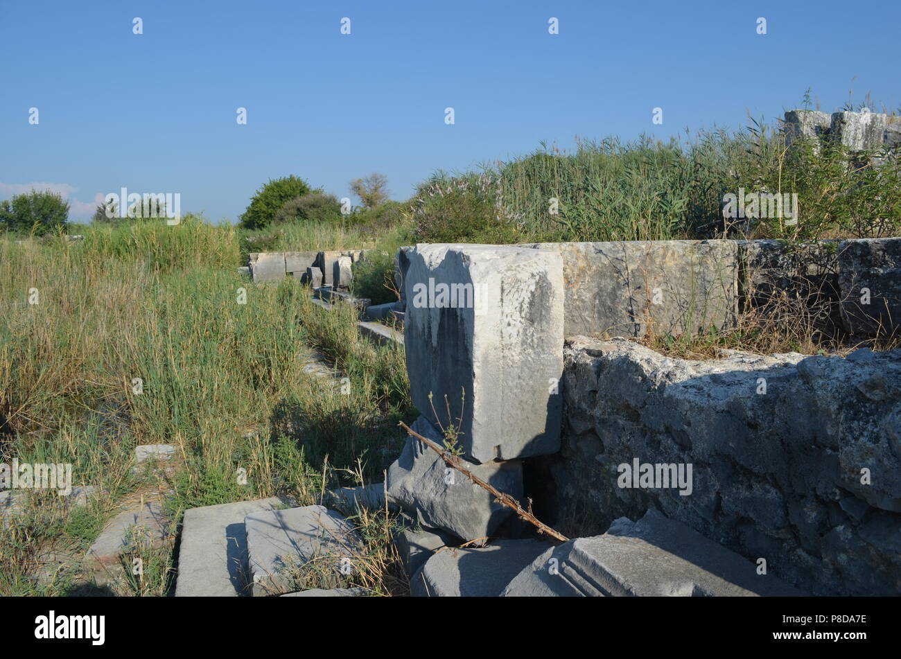 Markttor von Milet Stockfoto