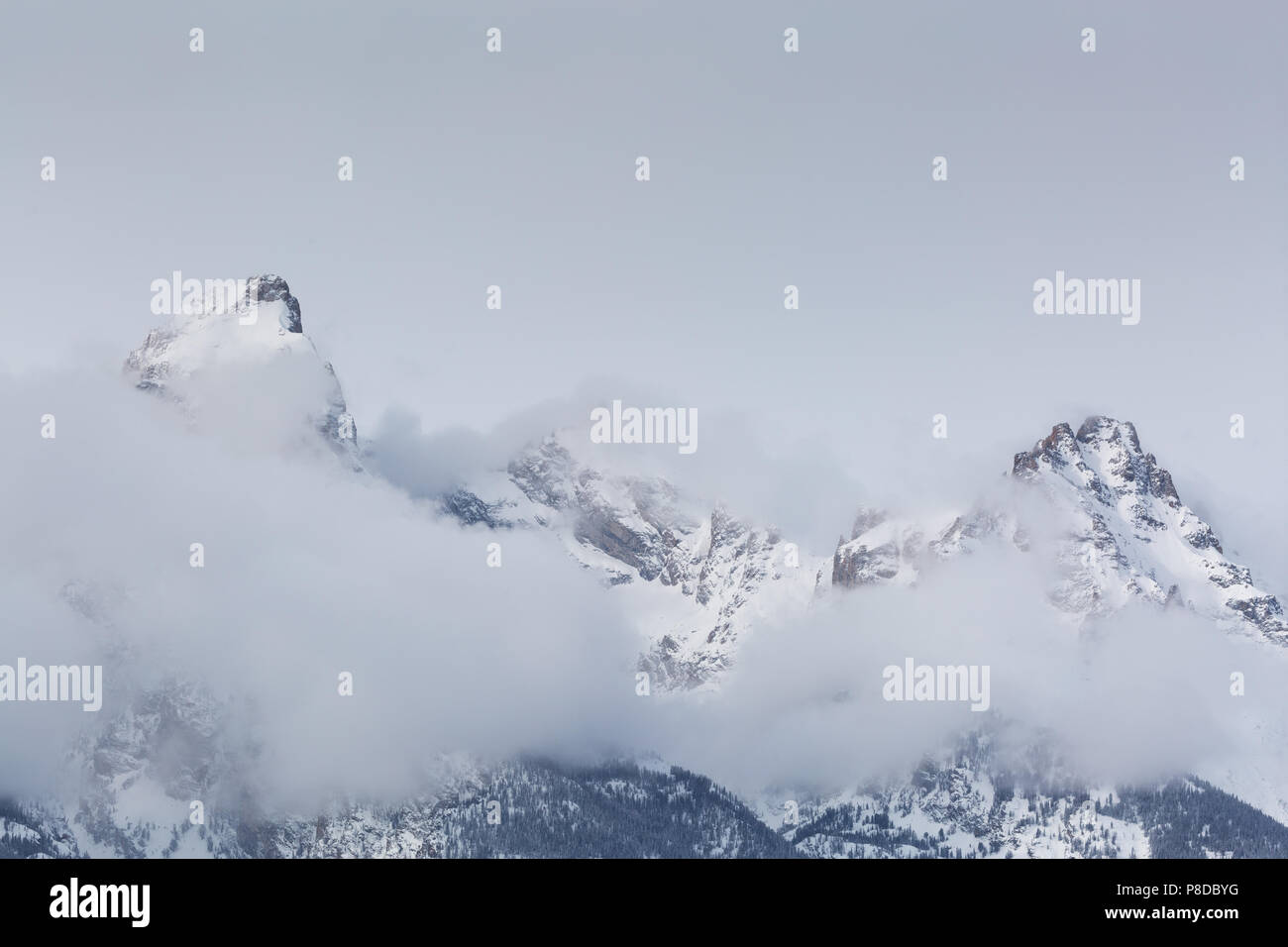 Ein Winter Nebel vom Beginn des Grand Teton, Mount Owen und Teewinot zu heben. Der Grand Teton National Park, Wyoming Stockfoto