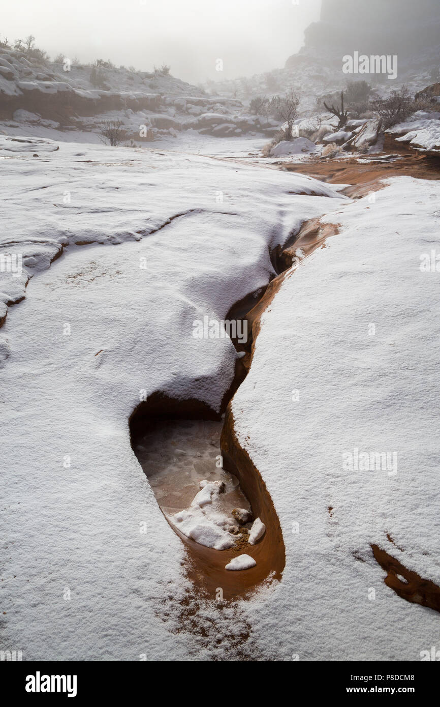 Eis sammeln in einem waterpocket im Wash entlang der Park Avenue Trail. Arches National Park, Utah Stockfoto