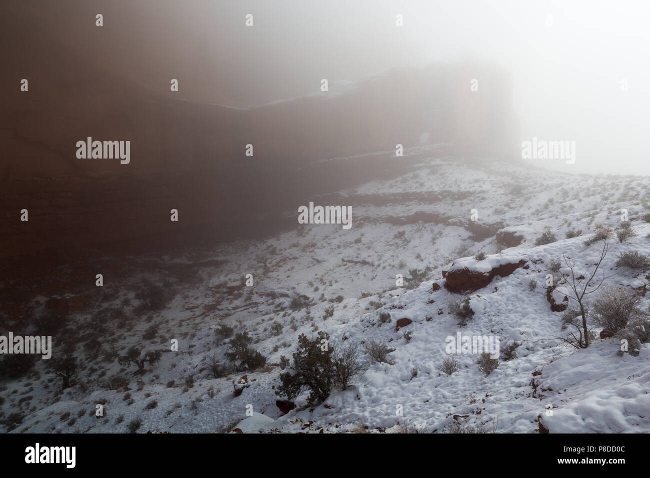 Schneefall liegen unter großen Sandstein Buttes in einem winterlichen Nebel entlang der Park Avenue Trail verschlungen. Arches National Park, Utah Stockfoto