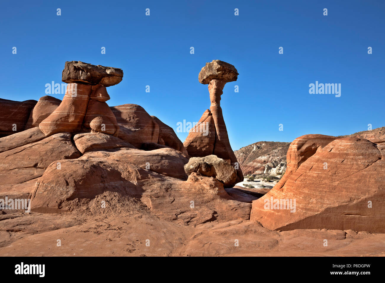 UTAH - Die fliegenpilze Wo harden Geröll hinunter rollen von den Klippen oberhalb und das weichere Sandstein unterhalb von Erosion zu schützen. Stockfoto