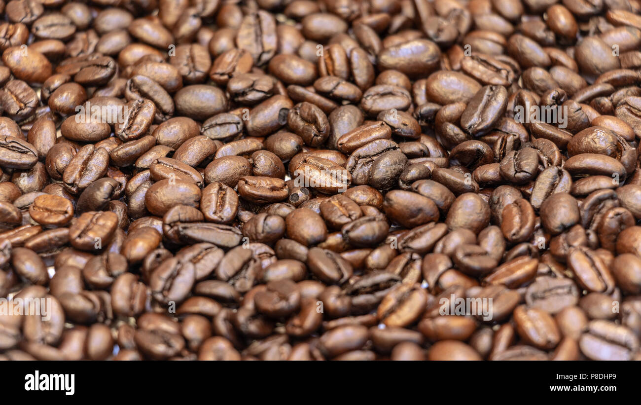 Kaffeebohne closeup Stockfoto