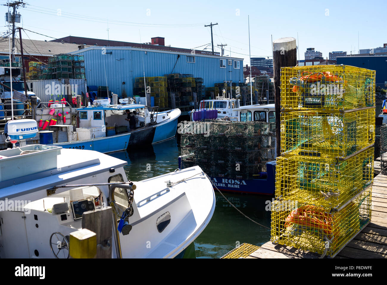 Hummer Fischerhafen in Portland Maine Stockfoto