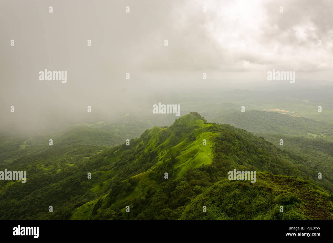 Schöne Aussicht auf die grüne Landschaft von Mahadev gad Punkt während der Monsunzeit bei Amboli, Maharashtra, Indien. Stockfoto