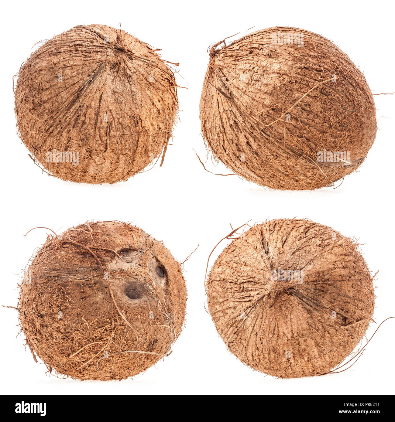 Kokosnuss isoliert auf weißem Hintergrund Stockfoto