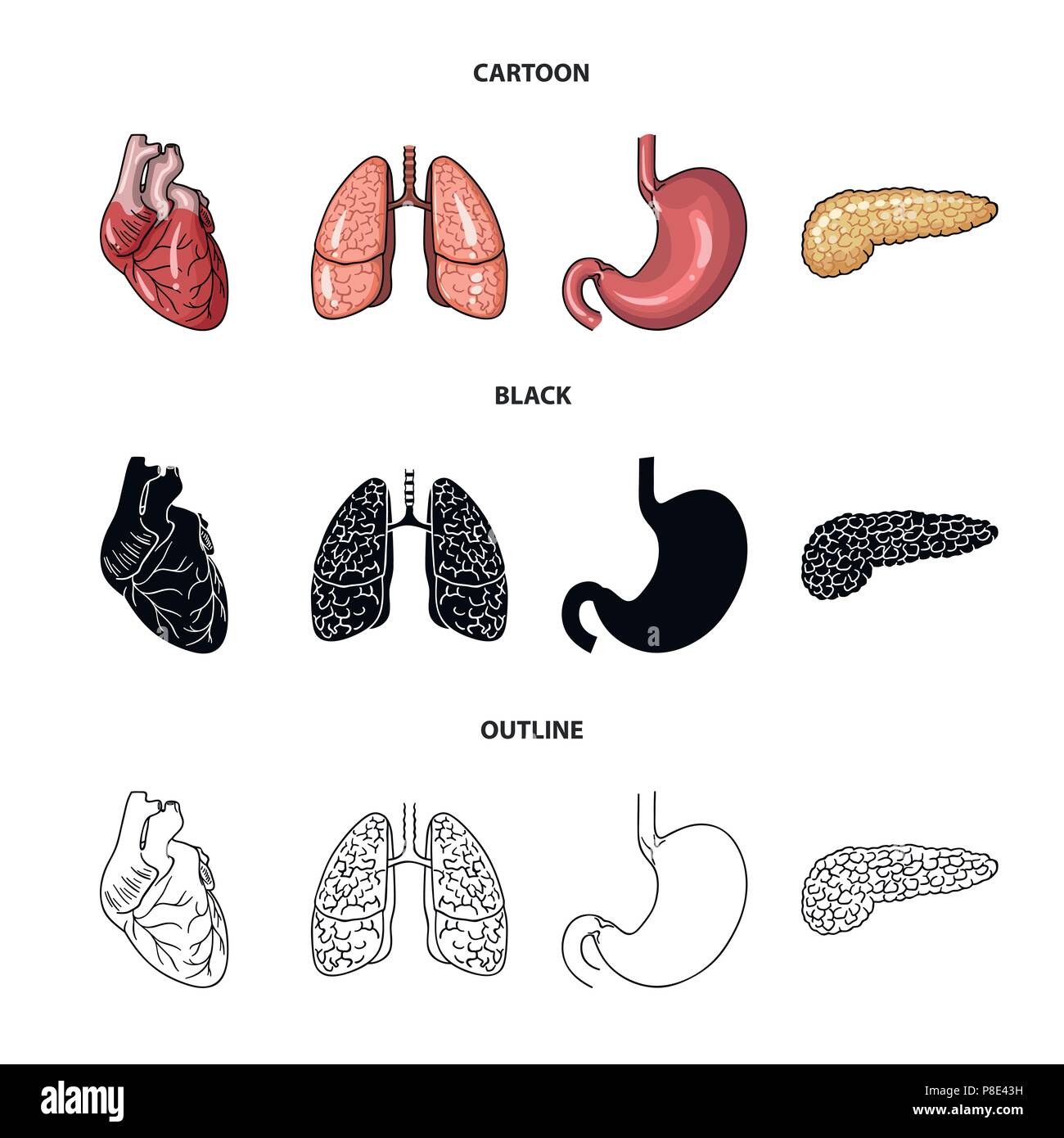 Herz, Lunge, Magen, Bauchspeicheldrüse. Menschliche Organe set Sammlung Icons im Cartoon, schwarz, Outline style Vektor Symbol lieferbar Abbildung. Stock Vektor