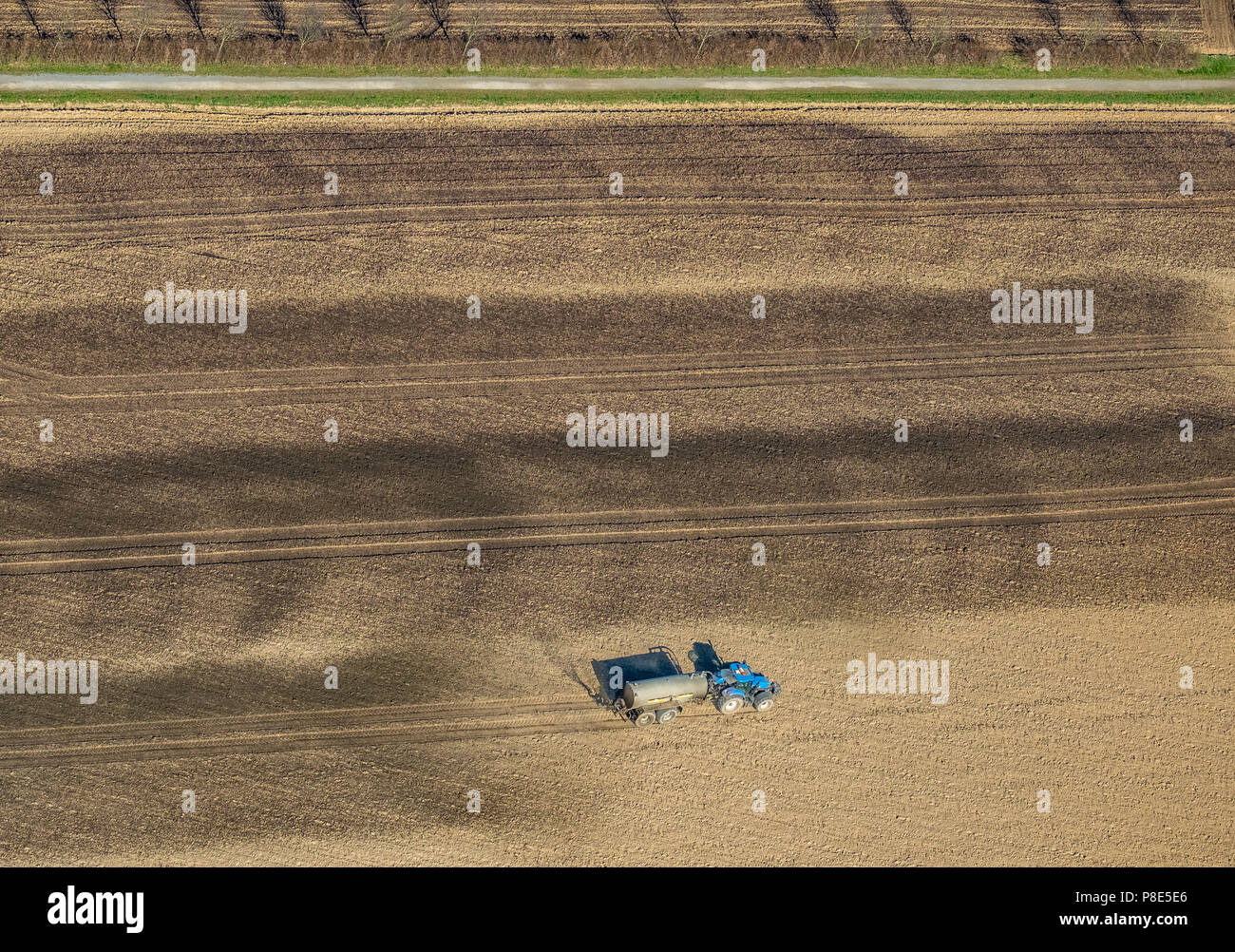Luftaufnahme, Traktor mit Gülle Tankschiff auf ein Feld erstreckt sich von Gülle, Gülle, Ruhrgebiet, Nordrhein-Westfalen Stockfoto