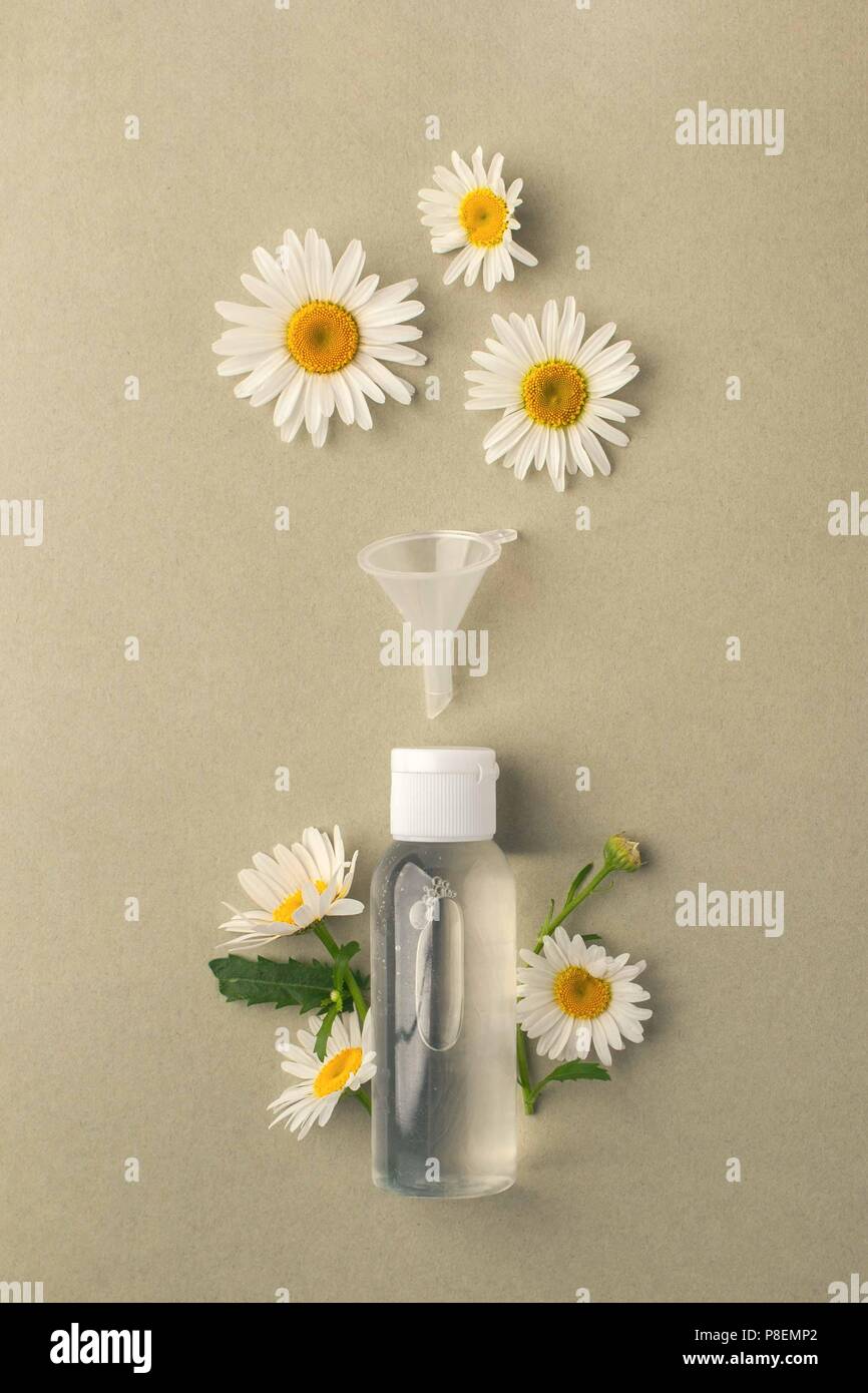 Kosmetische Flasche Container mit natürlichen Zutaten, leeres Etikett für Branding Mock-up, natürliche Schönheit Produktkonzept, Flach Stockfoto