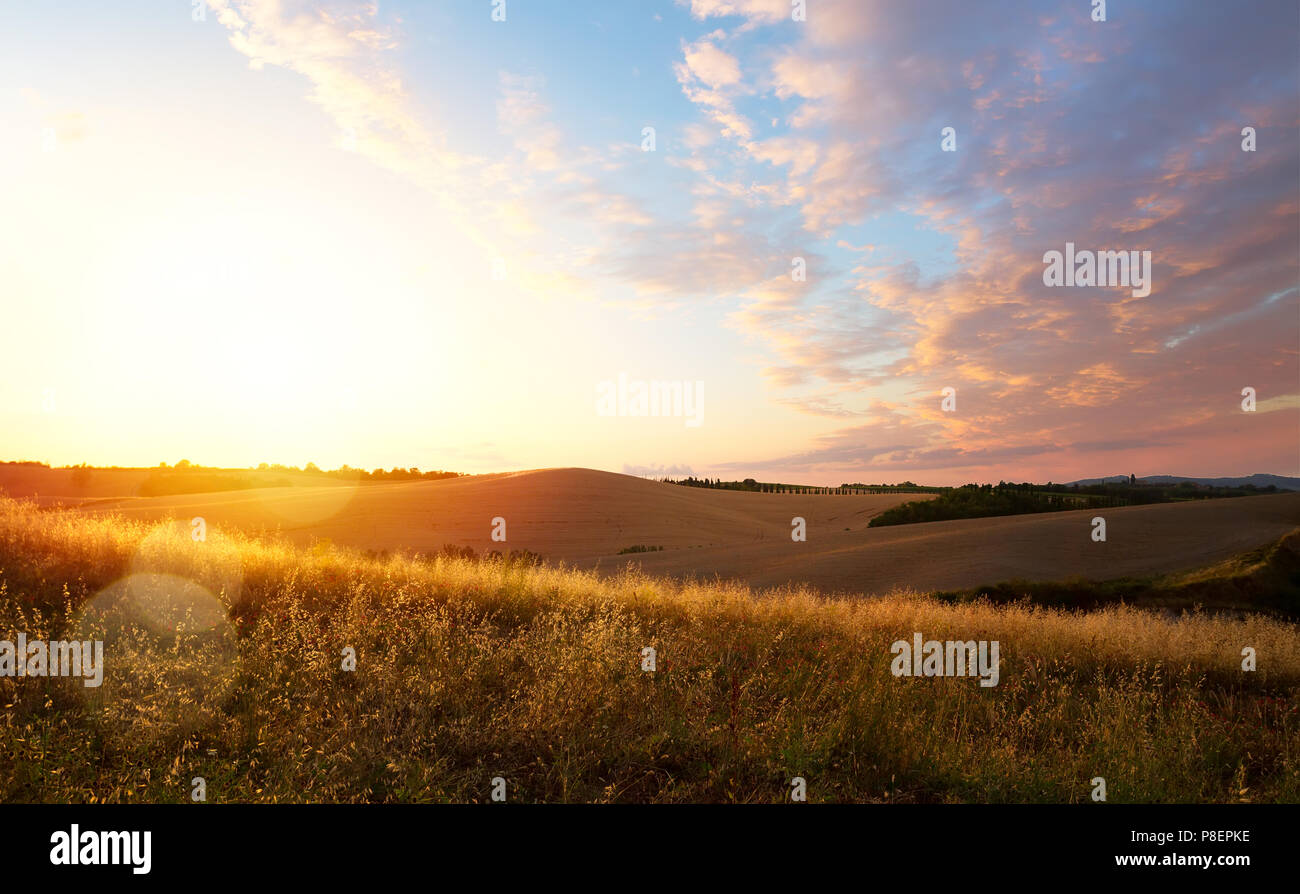 Typische toskanische Landschaft; Sonnenuntergang über sanfte Hügel Stockfoto