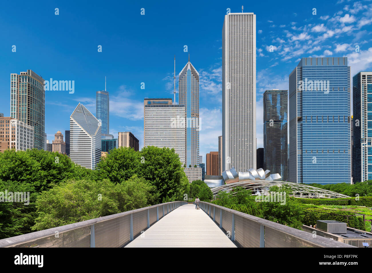 Chicago Downtown Skyline Stockfoto