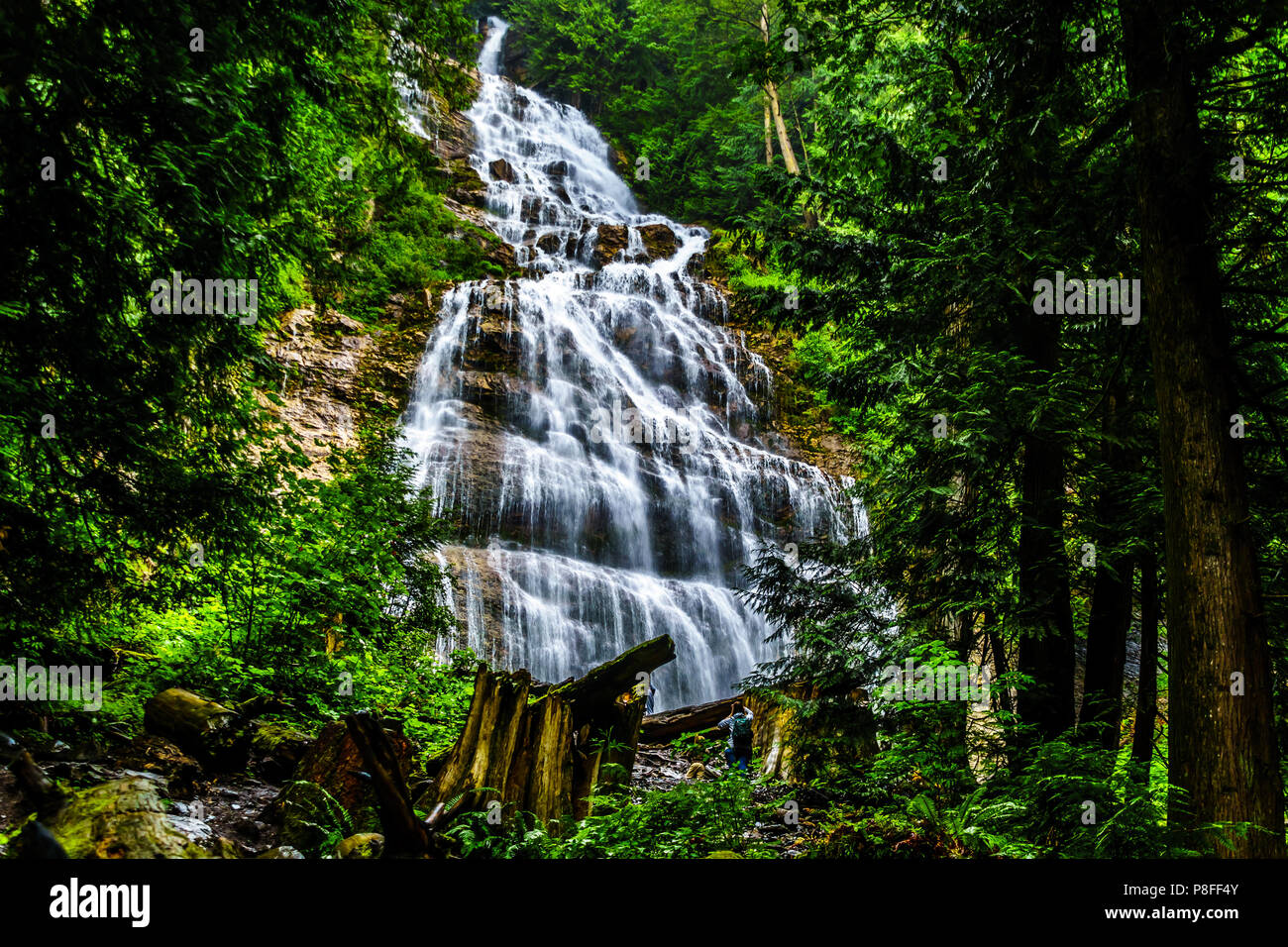 Bridal Veil Falls, ein Wasserfall in der Cascade Mountains, zwischen den Städten von Chilliwack und Hoffnung in British Columbia, Kanada Stockfoto