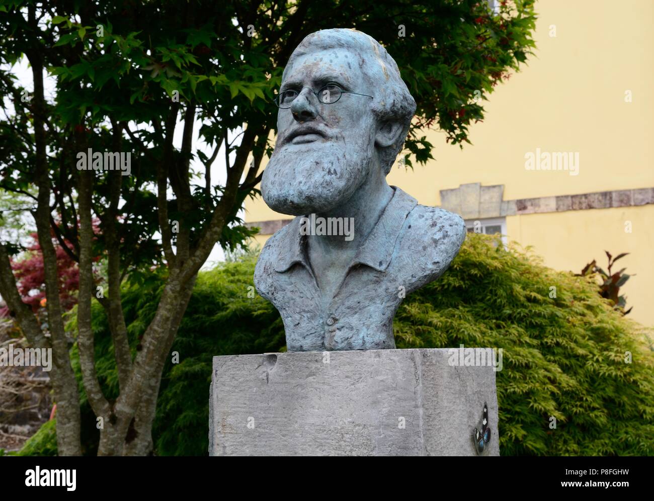 Büste Skulptur von Alfred Russel Wallace in den Nationalen Botanischen Garten von Wales Stockfoto