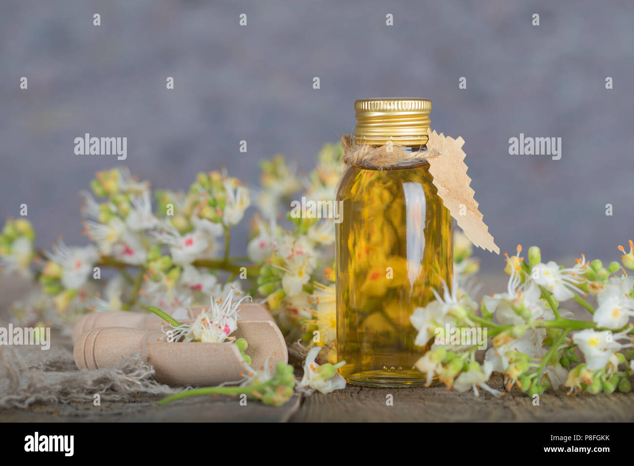 Glas Flasche Rosskastanie Öl extrahieren. Nahaufnahme Stockfoto
