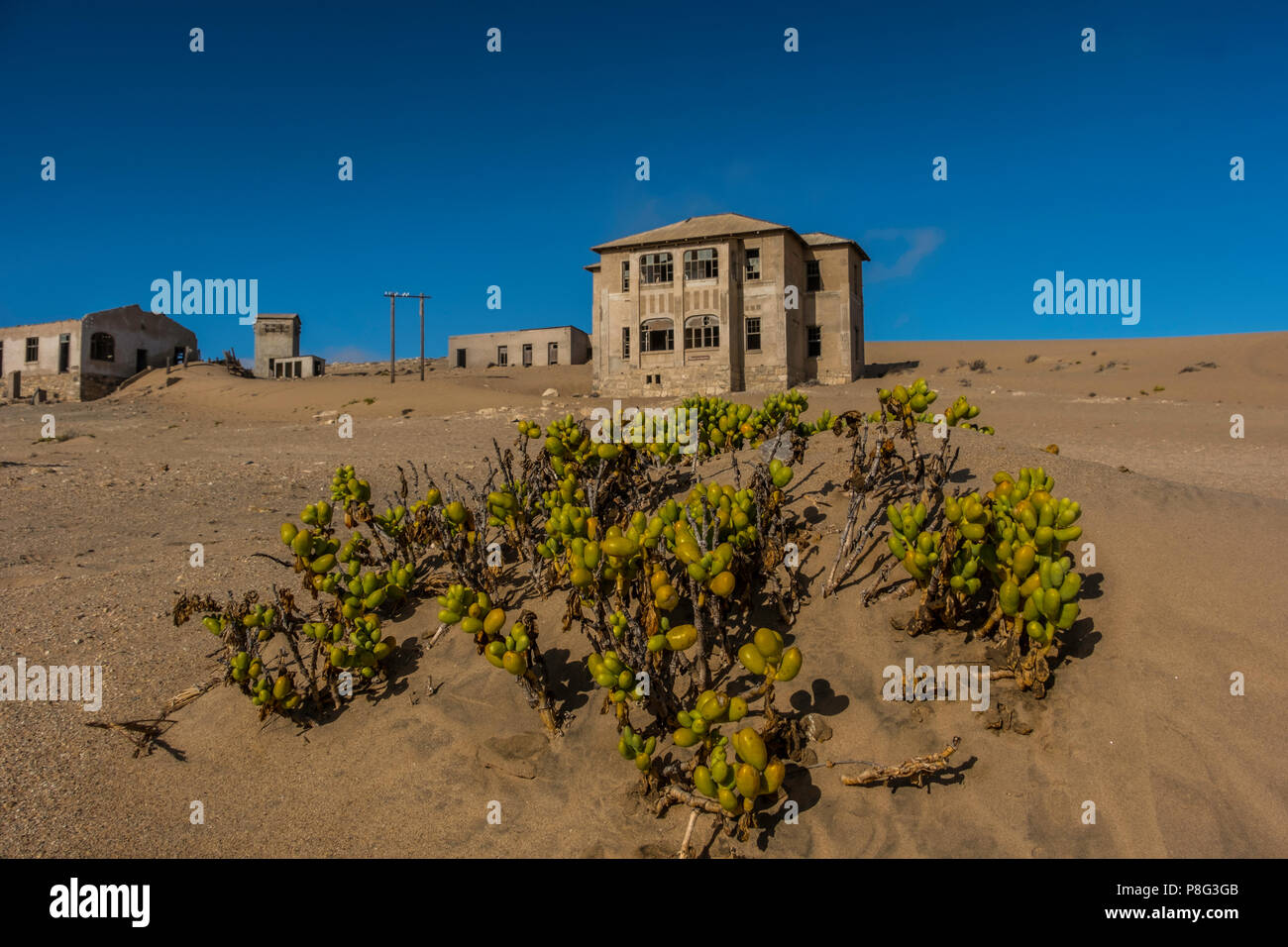 Verlassene Gebäude in Ghost Town von ehemaligen Diamond mining Gemeinschaft von Kolmanskop, die in der Nähe von Lüderitz in der Namib Wüste Namibias mit nativen saftige Stockfoto