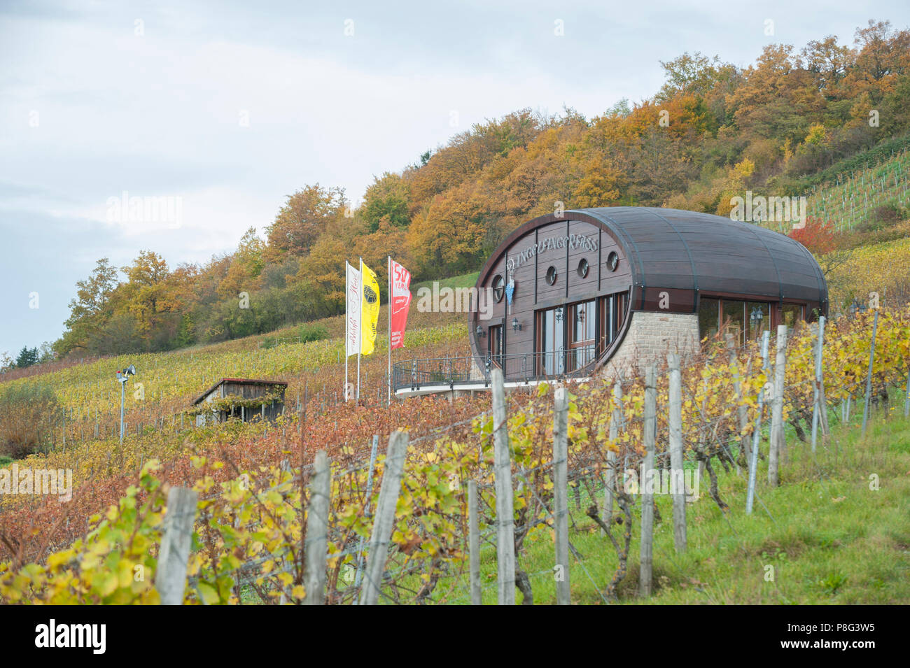 Weinfass, Kochertal, Ingelfingen, Hohenlohe, Baden-Württemberg, Heilbronn-franken, Deutschland Stockfoto