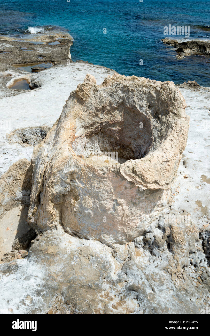 Der versteinerte Wald in der Nähe von Agia Maria, Lakonien, Peloponnes, Griechenland Stockfoto