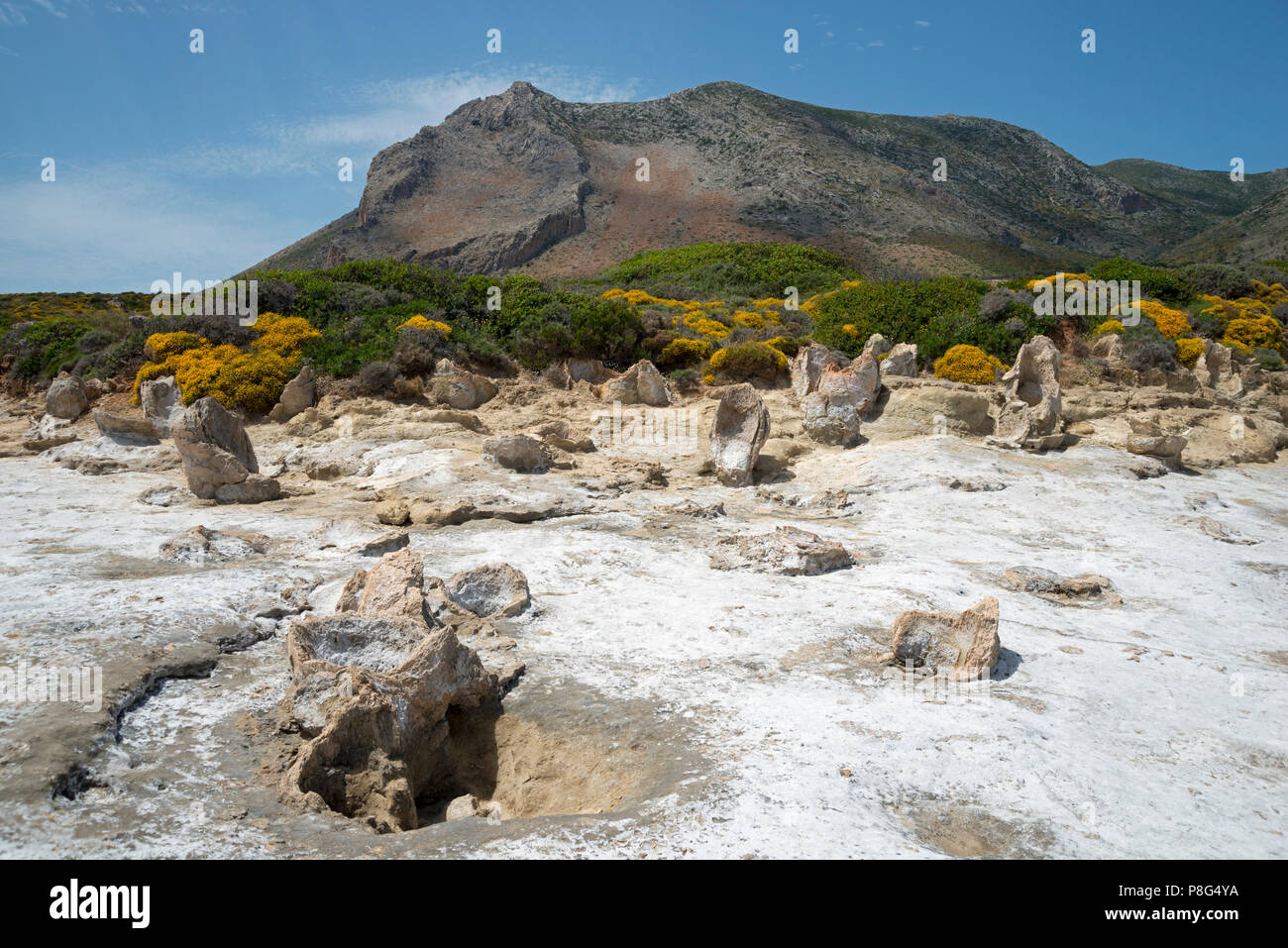 Der versteinerte Wald in der Nähe von Agia Maria, Lakonien, Peloponnes, Griechenland Stockfoto