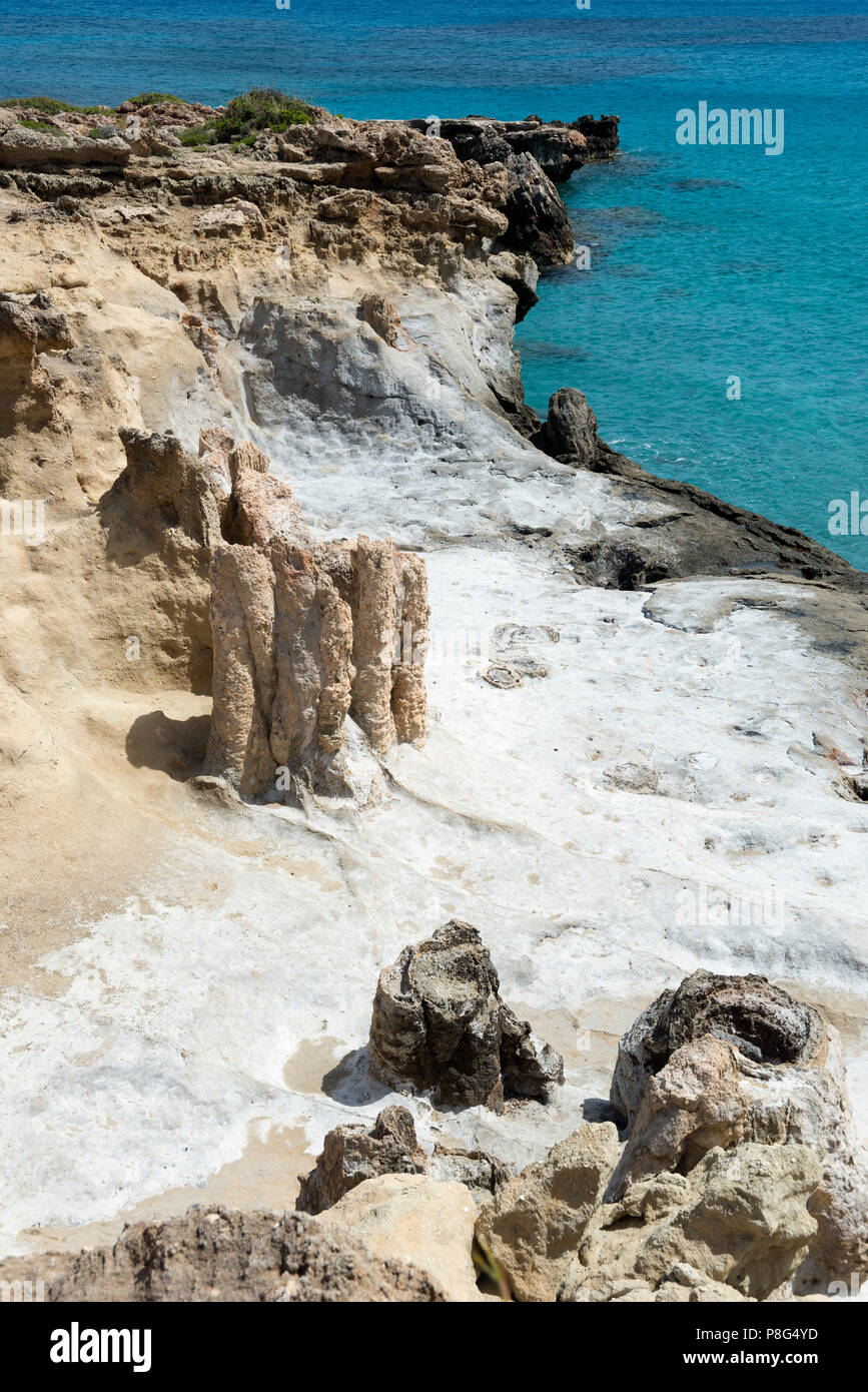 Der versteinerte Wald in der Nähe von Agia Maria, Lakonien, Peloponnes, Griechenland Stockfoto