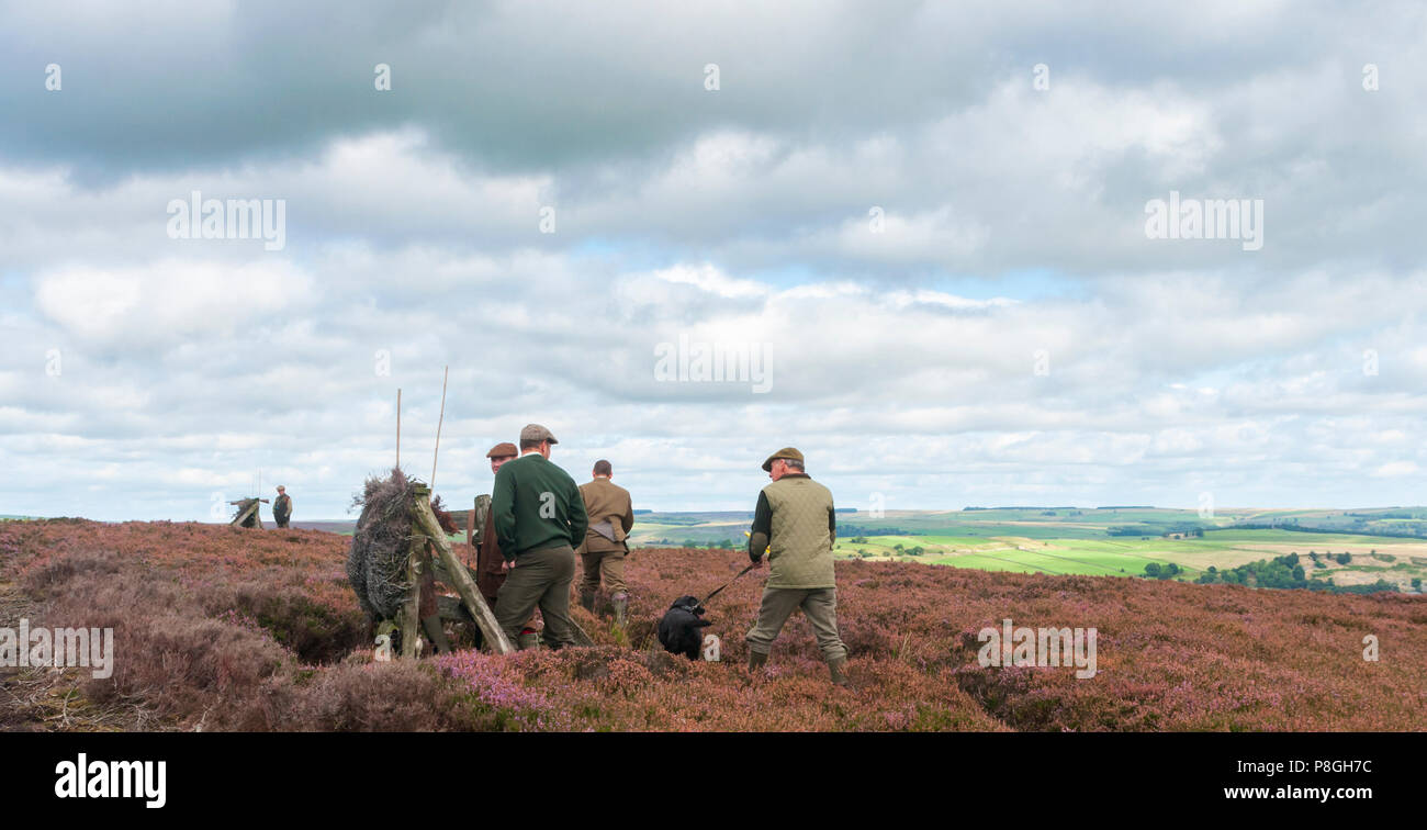 North Yorkshire, England UK - Eine grouse Moor im frühen Herbst als die Waffen machen sich auf den Weg zu den Dreharbeiten Butts, um die Aufnahme zu beginnen Stockfoto