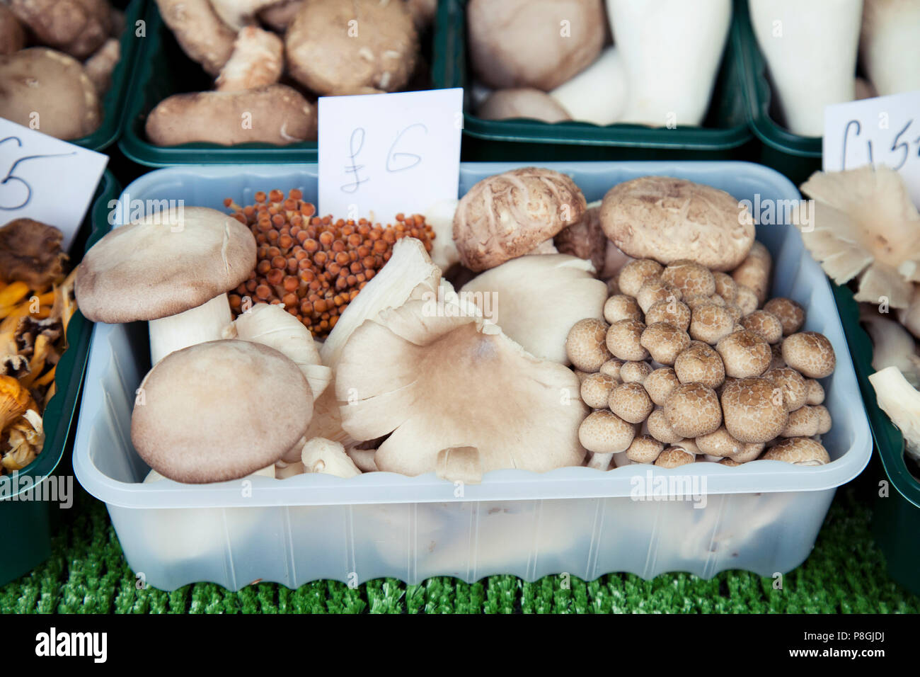 Gemischte Pilze auf Marktstand Stockfoto