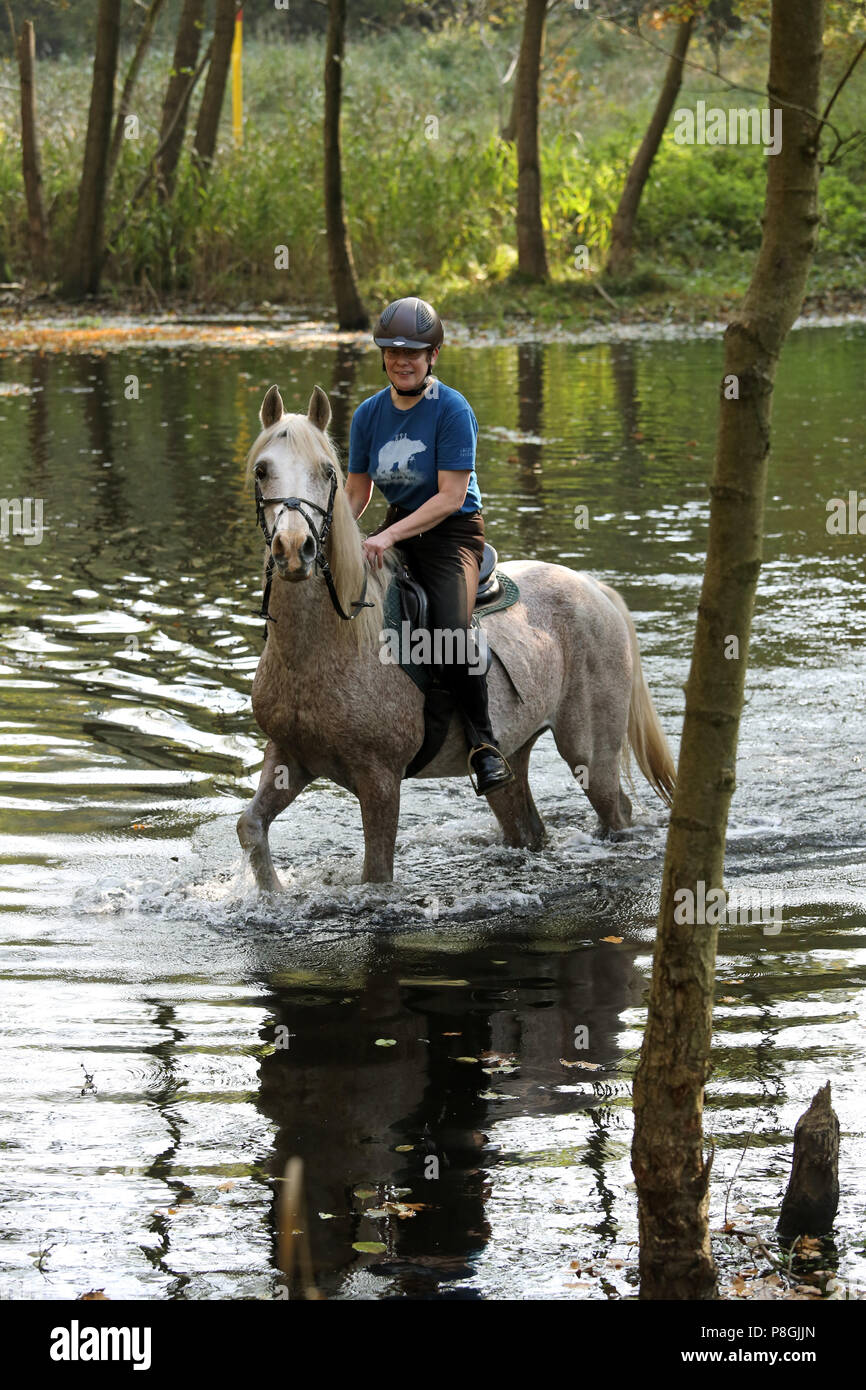 Zernikov, Frau ein Pferd reiten auf ihrem Pferd Stockfoto