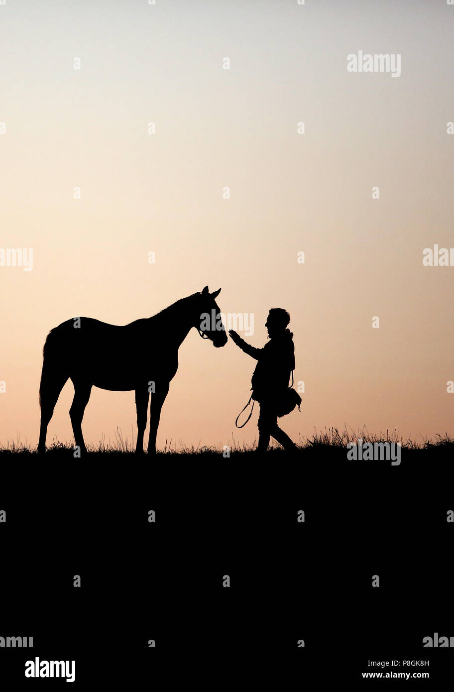Gestüt Goerlsdorf, Silhouette, man ist zu Fuß in Richtung ein Pferd in der Dämmerung in einer Weide Stockfoto