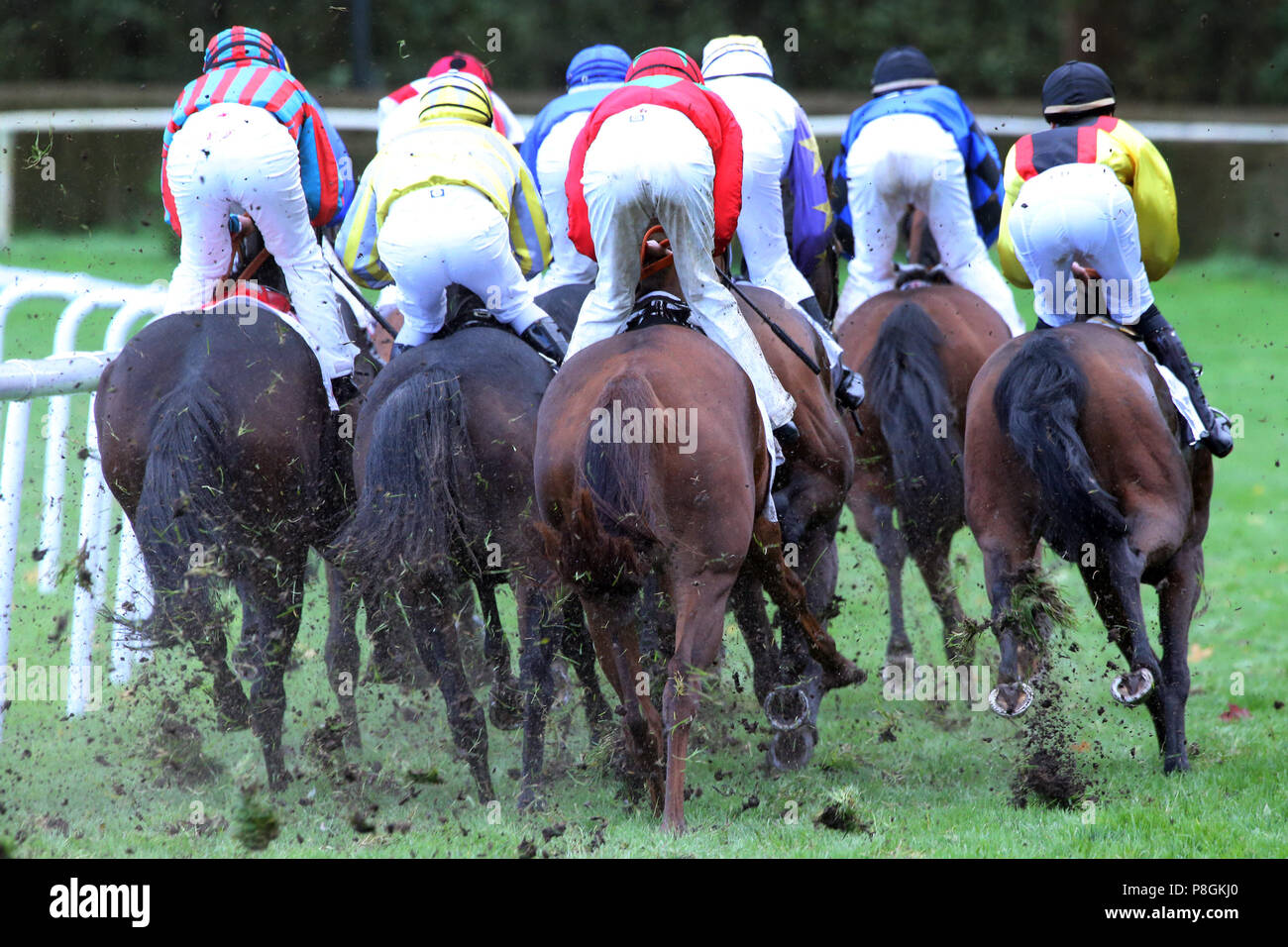 Hannover, Deutschland, Pferde und Jockeys im Rennen Stockfoto