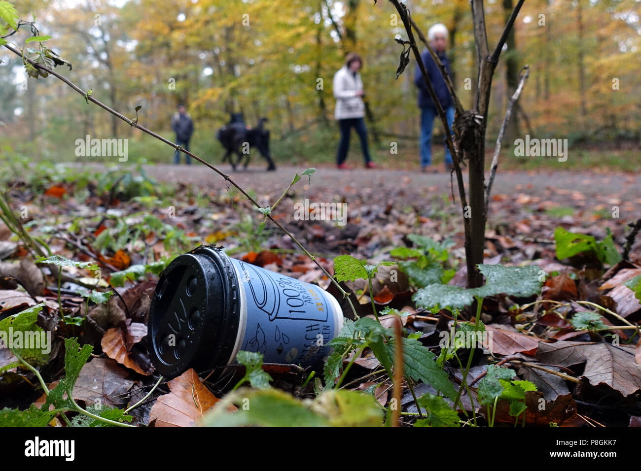 Berlin, Deutschland, leere Kaffeetasse liegt im Wald in einem Gebäude Stockfoto