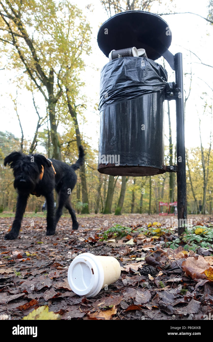 Berlin, Deutschland, leere Kaffeetasse liegt vor einem vollen Mülleimer im Wald Stockfoto