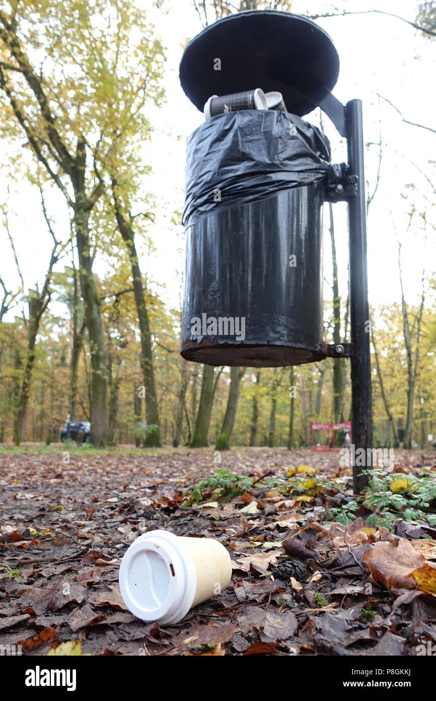 Berlin, Deutschland, leere Kaffeetasse liegt vor einem vollen Mülleimer im Wald Stockfoto