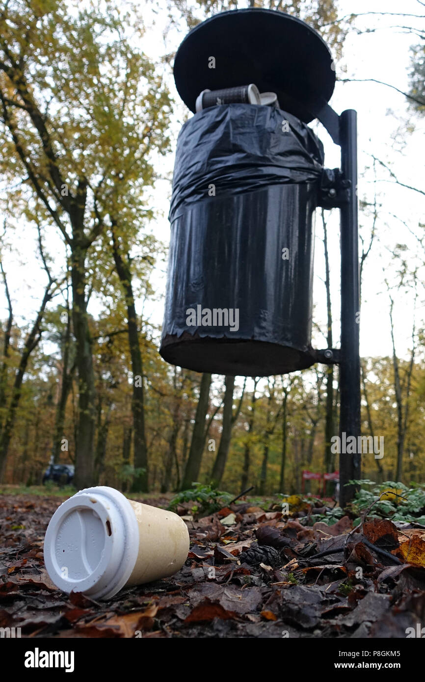 Berlin, Deutschland, leere Kaffeetasse liegt vor einem vollen Mülleimer im Wald Stockfoto