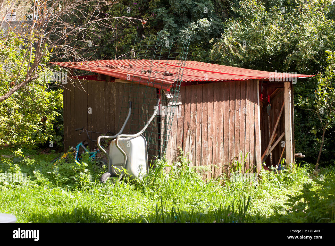 Vernachlässigung Schuppen im Garten Stockfoto