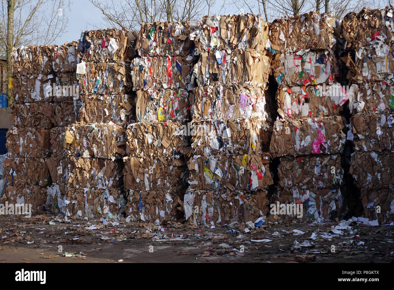 Berlin, Deutschland, im quadratischen Format gepresst Altpapier auf eine Deponie Stockfoto