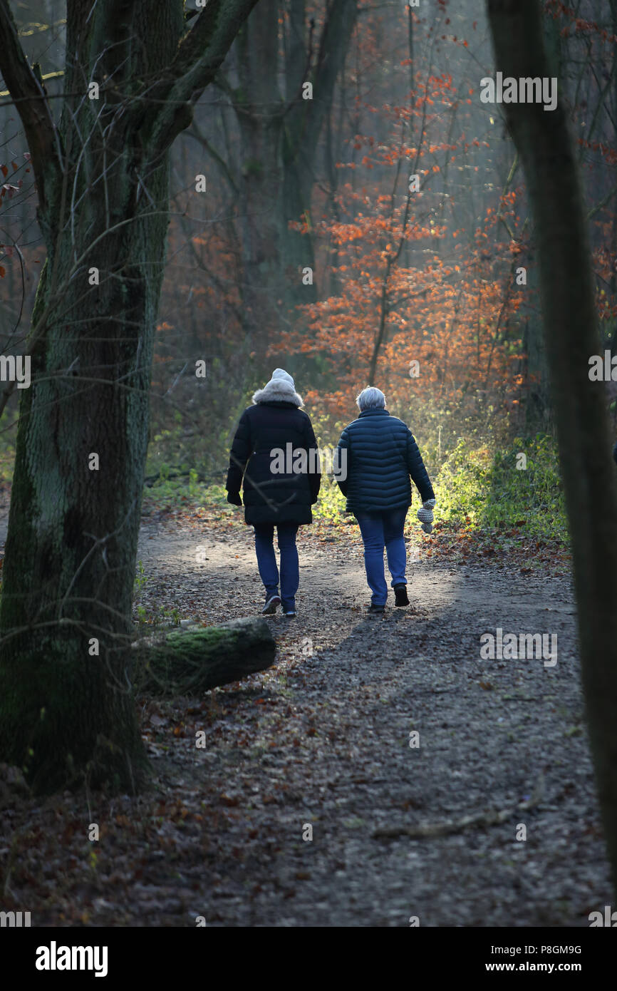 Berlin, Deutschland, Frauen machen einen Spaziergang im Grunewald Stockfoto