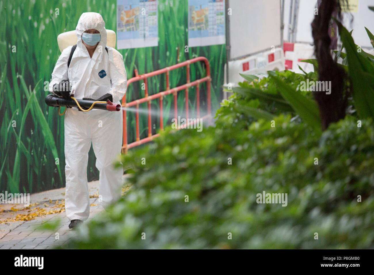 Hongkong, China, Mann sprays Pestizide auf einem Busch Stockfoto