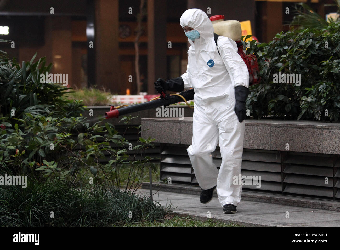 Hongkong, China, Mann sprays Pestizide auf einem Busch Stockfoto