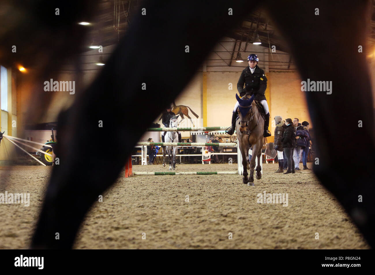 Neustadt (Dosse), Pferde und Reiter im Winter an einem Turnier in der Halle Stockfoto